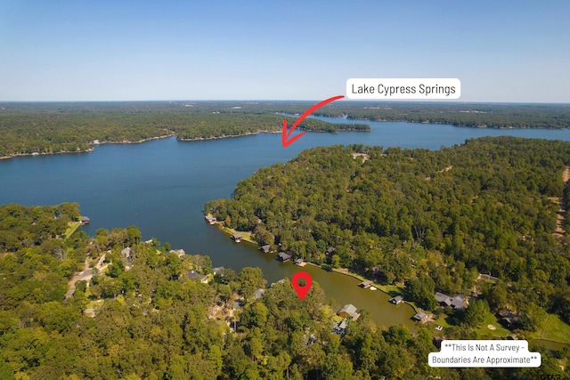 aerial view with a forest view and a water view