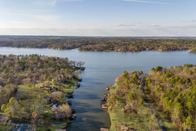 property view of water with a view of trees