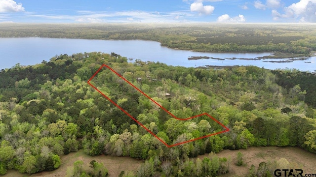 16201 County Road 4260th D, Henderson, TX 75654 - photo 11
