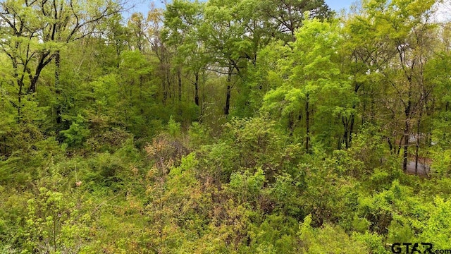 16201 County Road 4260th D, Henderson, TX 75654 - photo 2