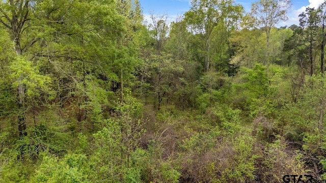 16201 County Road 4260th D, Henderson, TX 75654 - photo 7