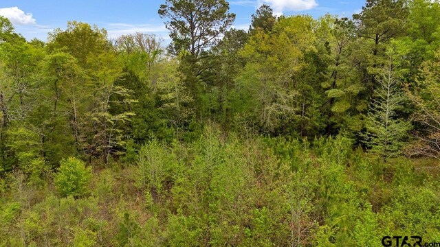 16201 County Road 4260th D, Henderson, TX 75654 - photo 4
