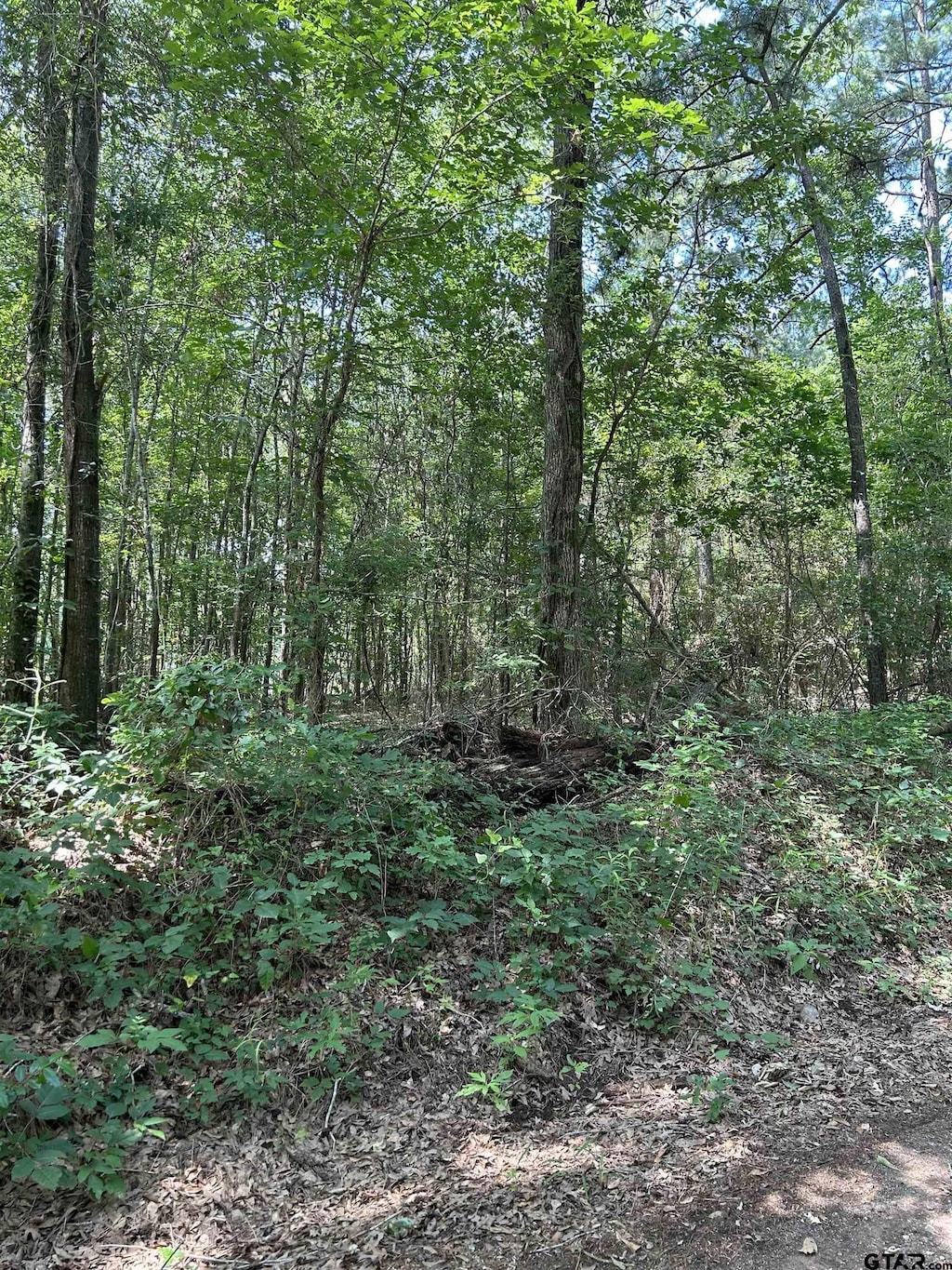 532 Jerome St, Rusk, TX 75785
