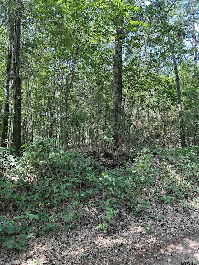 532 Jerome St, Rusk, TX 75785