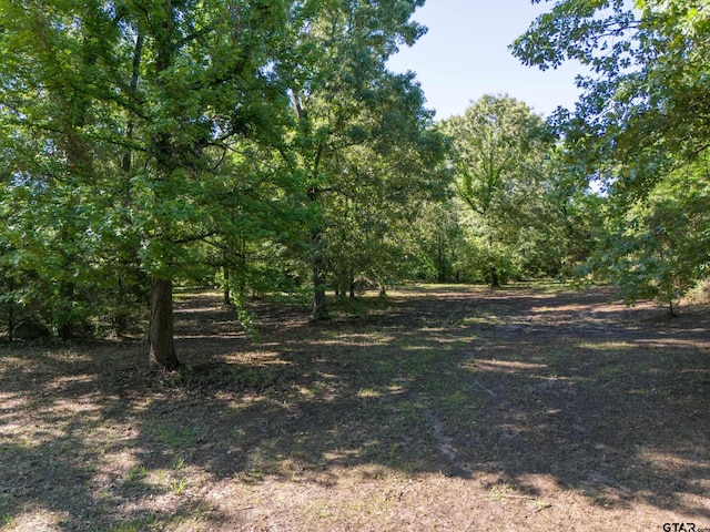 TBD Cr 1600, Alba TX, 75410 land for sale