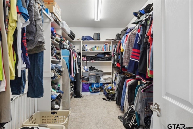 walk in closet with carpet floors