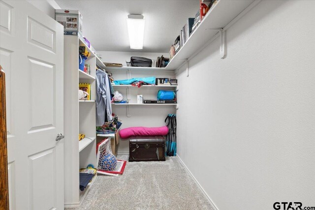 walk in closet featuring carpet