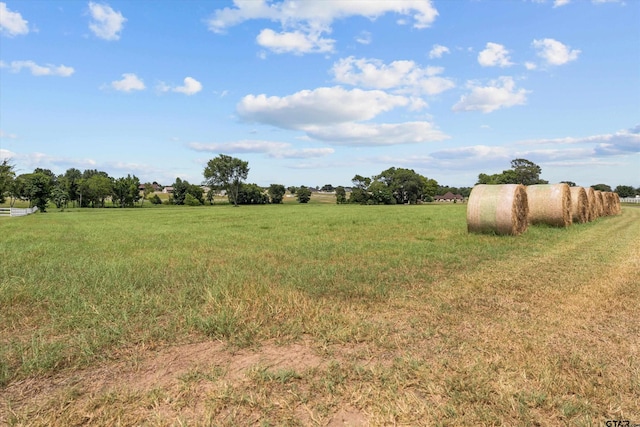 23050 Bridle View Dr, Lindale, TX 75771 - photo 4