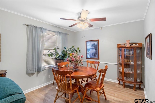 dining room featuring ceiling fan, light hardwood / wood-style flooring, and ornamental molding