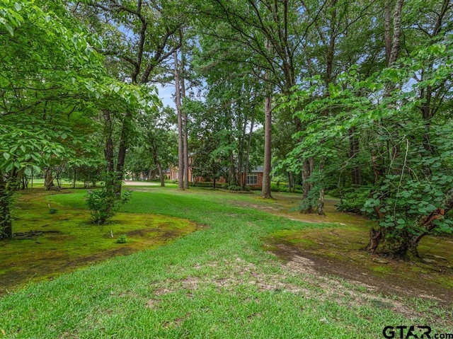 419 Wilder Way, Tyler, TX 75703 - photo 45