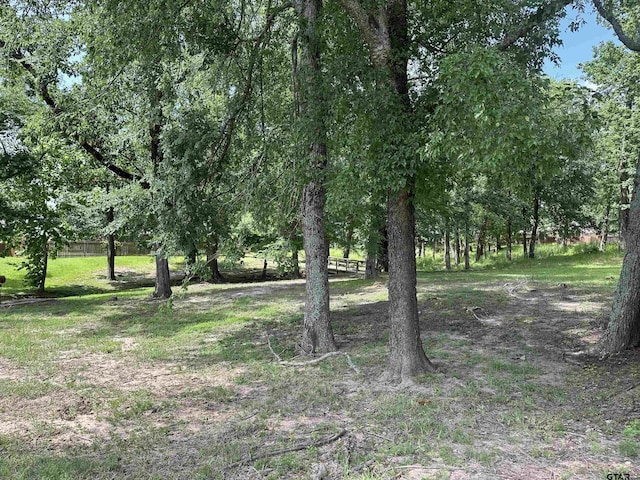 2509 Guinn Farms Rd, Tyler, TX 75707 - view of local wilderness