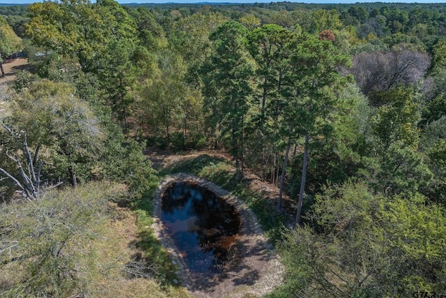 TRACTA Saunders Rd, Big Sandy, TX 75755 - photo 4