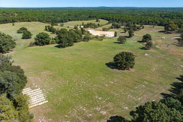 TRACTA Saunders Rd, Big Sandy, TX 75755 - photo 6