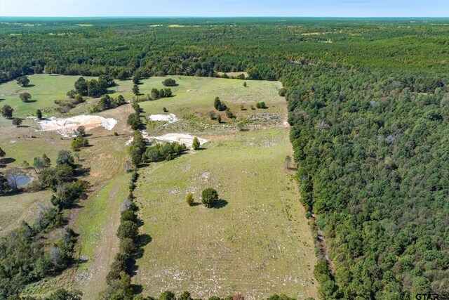 TRACTA Saunders Rd, Big Sandy, TX 75755 - photo 13