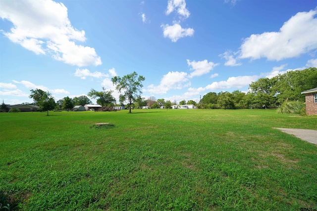 view of yard