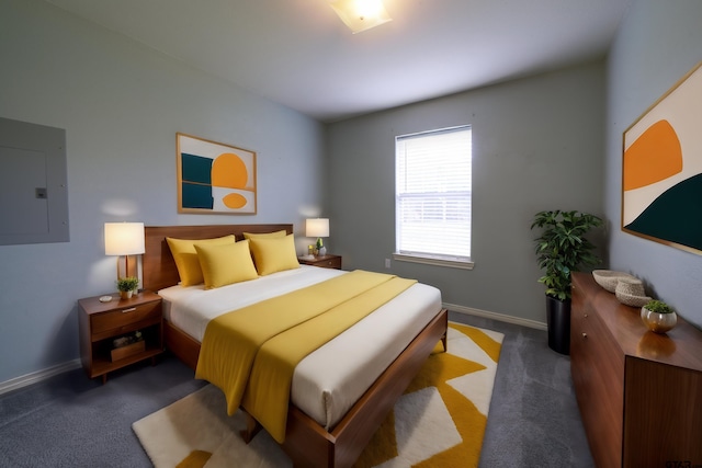 carpeted bedroom featuring electric panel