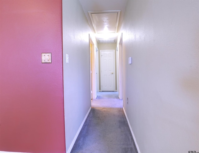 hallway featuring carpet flooring