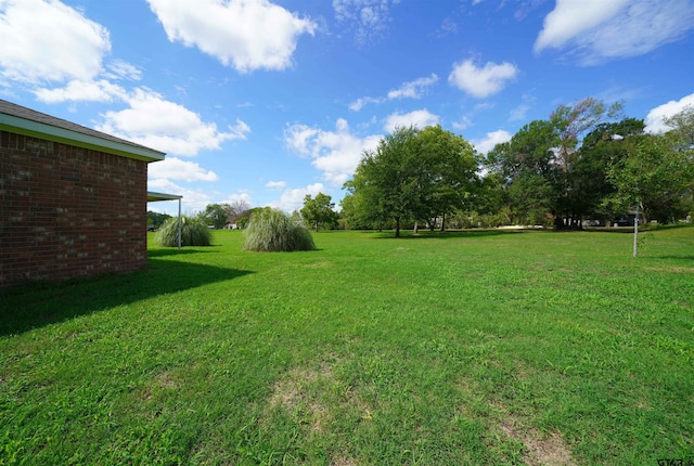 view of yard