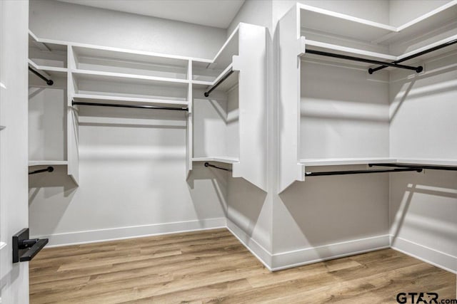 walk in closet featuring light wood-type flooring