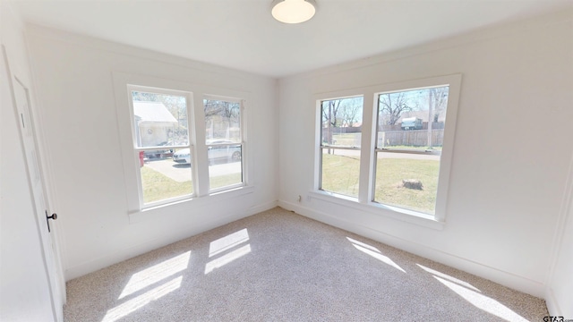 empty room featuring baseboards and light colored carpet