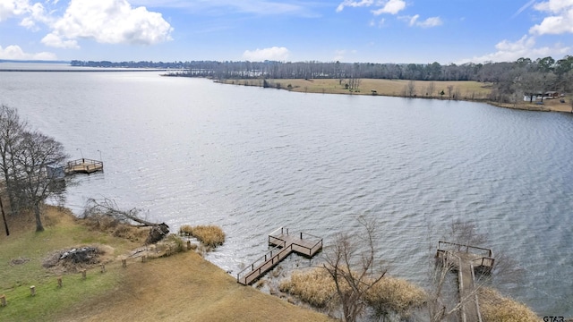 21820 Royal Forest Dr, Frankston, TX 75763 - photo 2