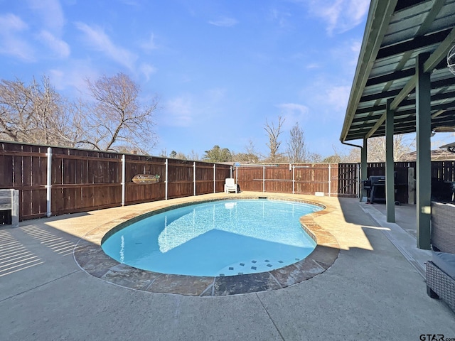 view of pool featuring a patio, a fenced backyard, and a fenced in pool