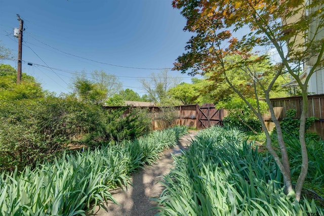 view of yard with a fenced backyard and a gate