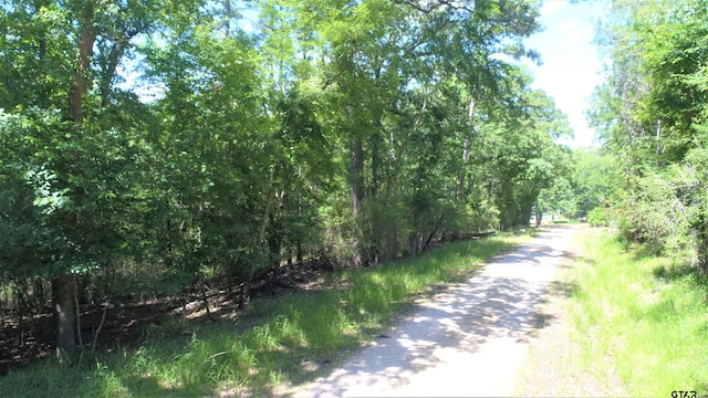 Listing photo 3 for TBD Forest Road, Crockett TX 75835