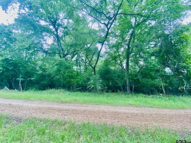 TBD Forest Rd, Crockett, TX 75835