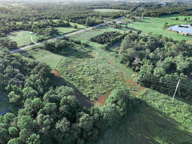 6408 N US Highway 259, Naples, TX 75568