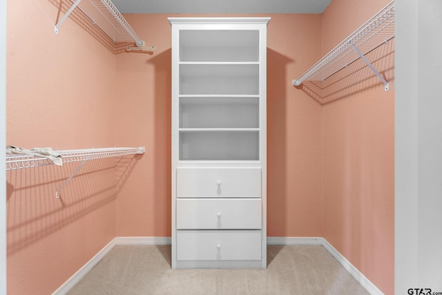 walk in closet with carpet flooring