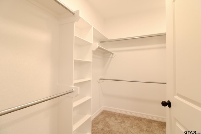 walk in closet with light carpet