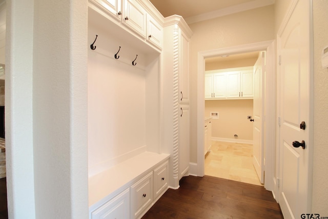 mudroom featuring dark wood-type flooring