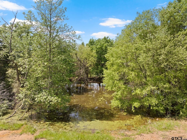 view of nature featuring a water view and a view of trees