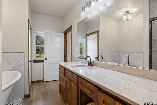 bathroom with a freestanding bath, vanity, wood finished floors, and a healthy amount of sunlight