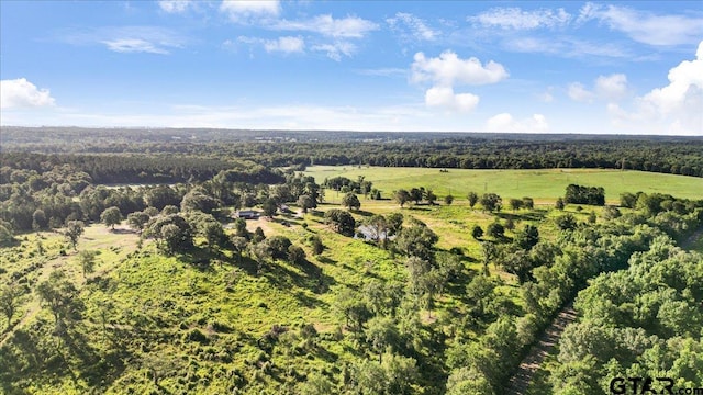 8126 County Road 1110, Overton, TX 75684 - photo 10
