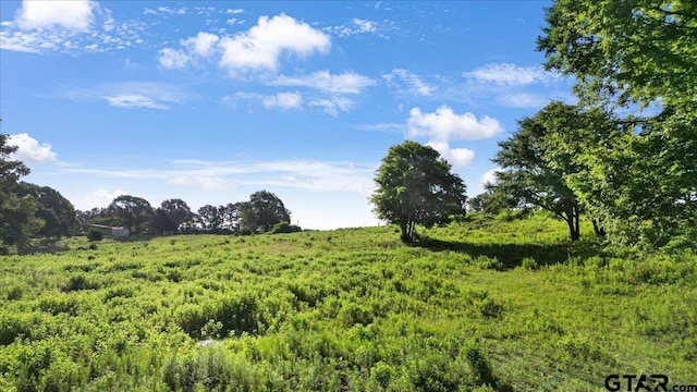 8126 County Road 1110, Overton, TX 75684 - photo 12