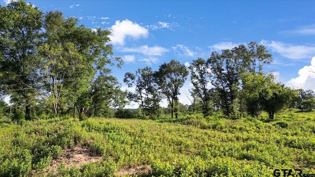 8126 County Road 1110, Overton, TX 75684 - photo 13