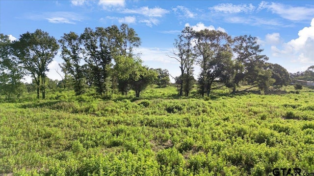 8126 County Road 1110, Overton, TX 75684 - photo 11
