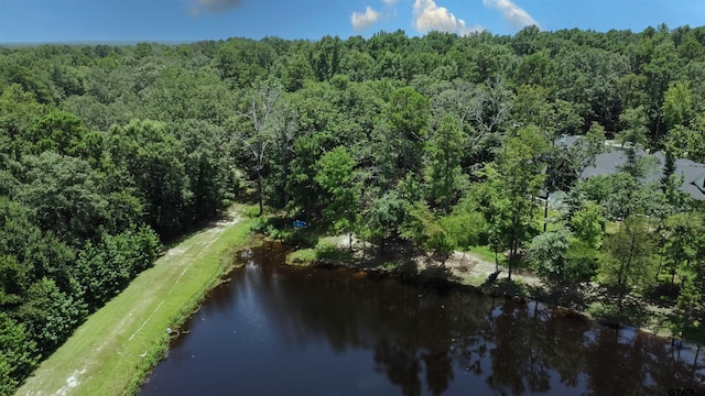 14881 Lake Meadow Ct, Tyler, TX 75707 - photo 7