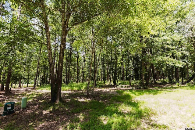14881 Lake Meadow Ct, Tyler, TX 75707 - photo 15