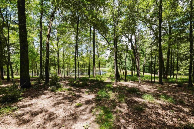 14881 Lake Meadow Ct, Tyler, TX 75707 - photo 2