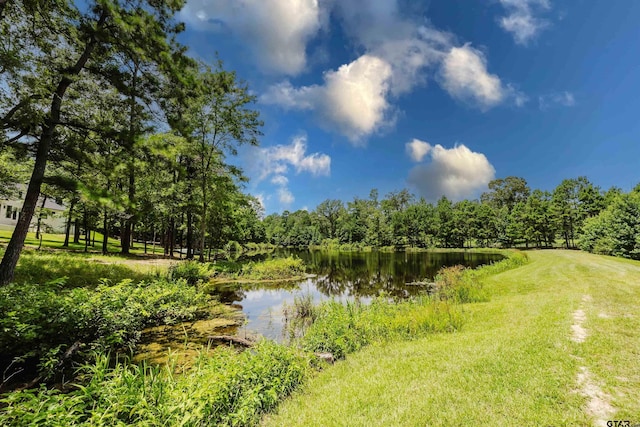 14881 Lake Meadow Ct, Tyler, TX 75707 - photo 3