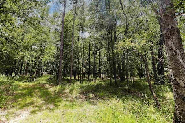 14881 Lake Meadow Ct, Tyler, TX 75707 - photo 20