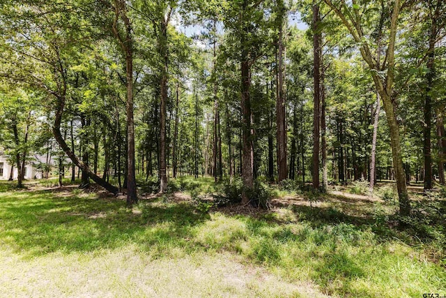 14881 Lake Meadow Ct, Tyler, TX 75707 - photo 14