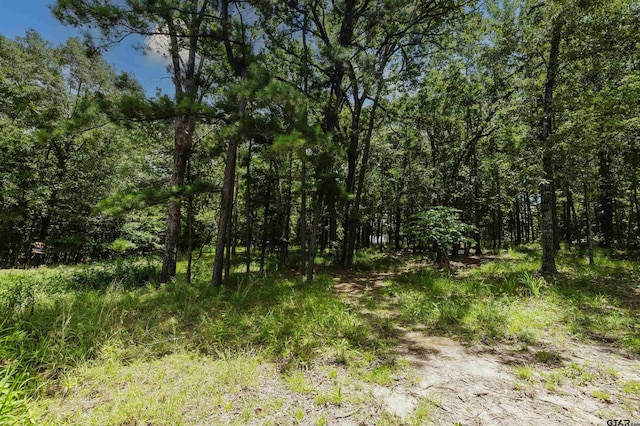 14881 Lake Meadow Ct, Tyler, TX 75707 - photo 23