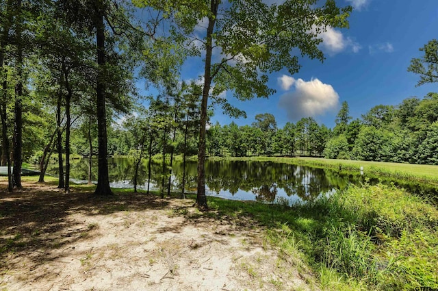 14881 Lake Meadow Ct, Tyler, TX 75707 - photo 1
