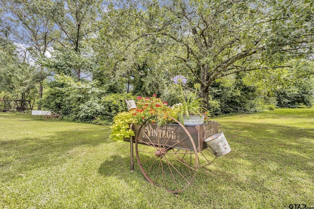 9607 Fm 1448, Winnsboro, TX 75494 - photo 6