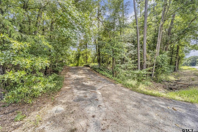 9607 Fm 1448, Winnsboro, TX 75494 - photo 4