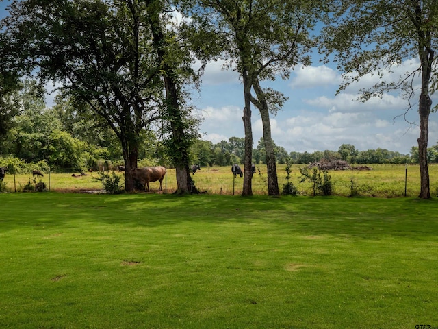 328 Heritage Way, Bullard, TX 75757 - view of grassy yard featuring a view of rural / pastoral area